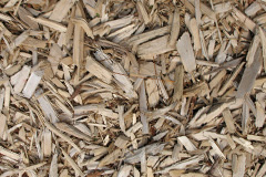 biomass boilers Snaisgill